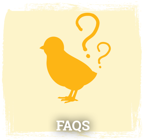 FAQ's Button & Image