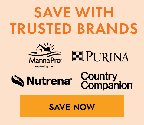 Save With Trusted Brands Button Mobile