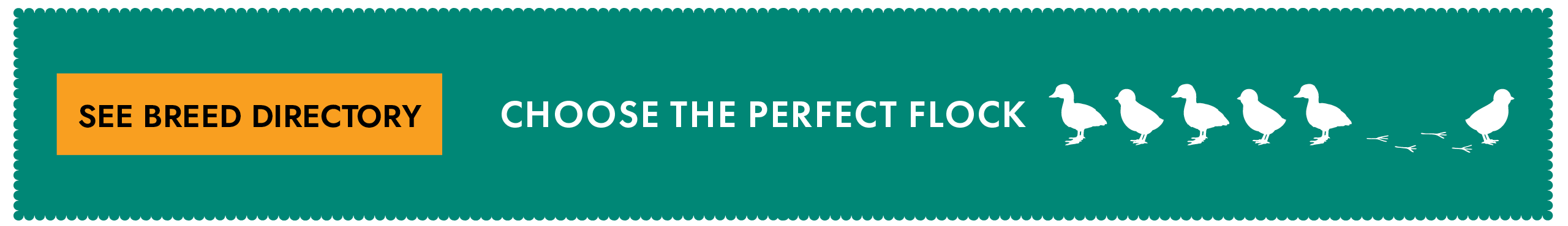 See Breed Directory Button Choose The Perfect Flock