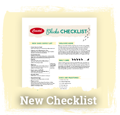 New Chick Checklist Image & Button