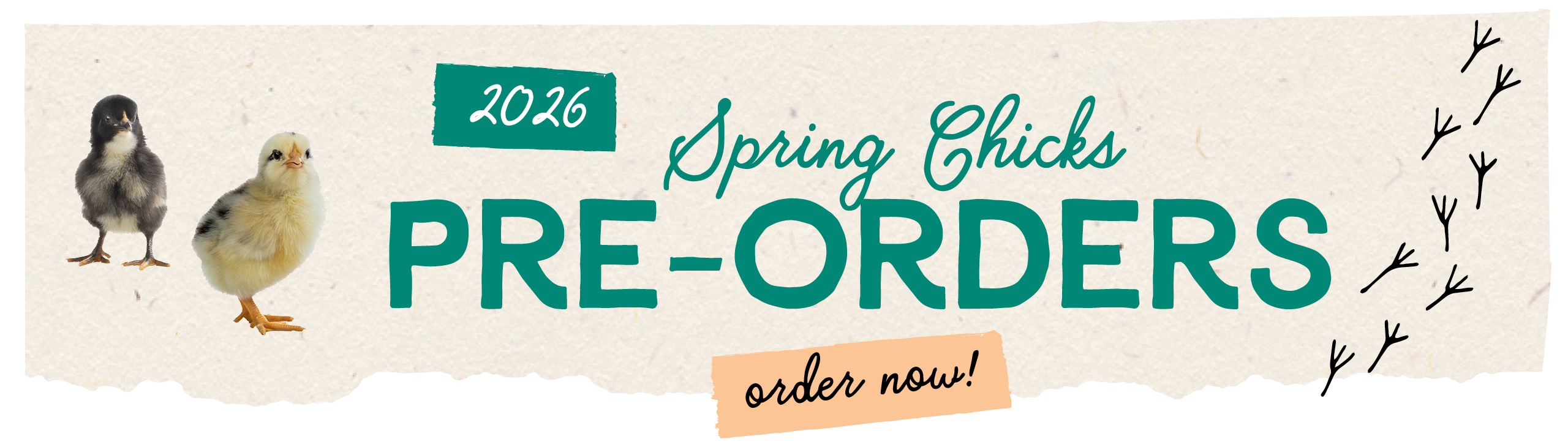 2026 Spring Chicks Pre-orders Now open!