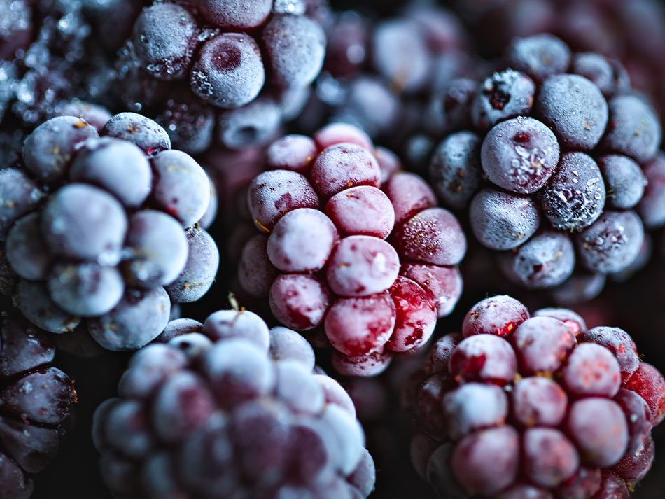 cfr_base_imagery_blackberries_frozen_20230622-Blog.jpg