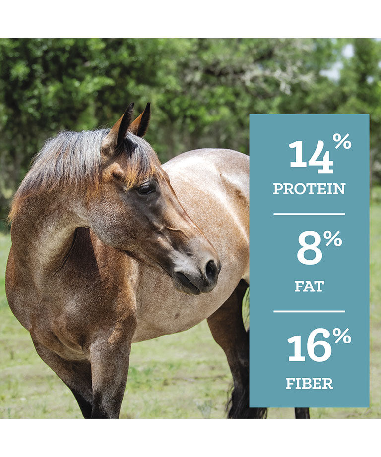 SafeChoice Senior Molasses Free, 50-Lb