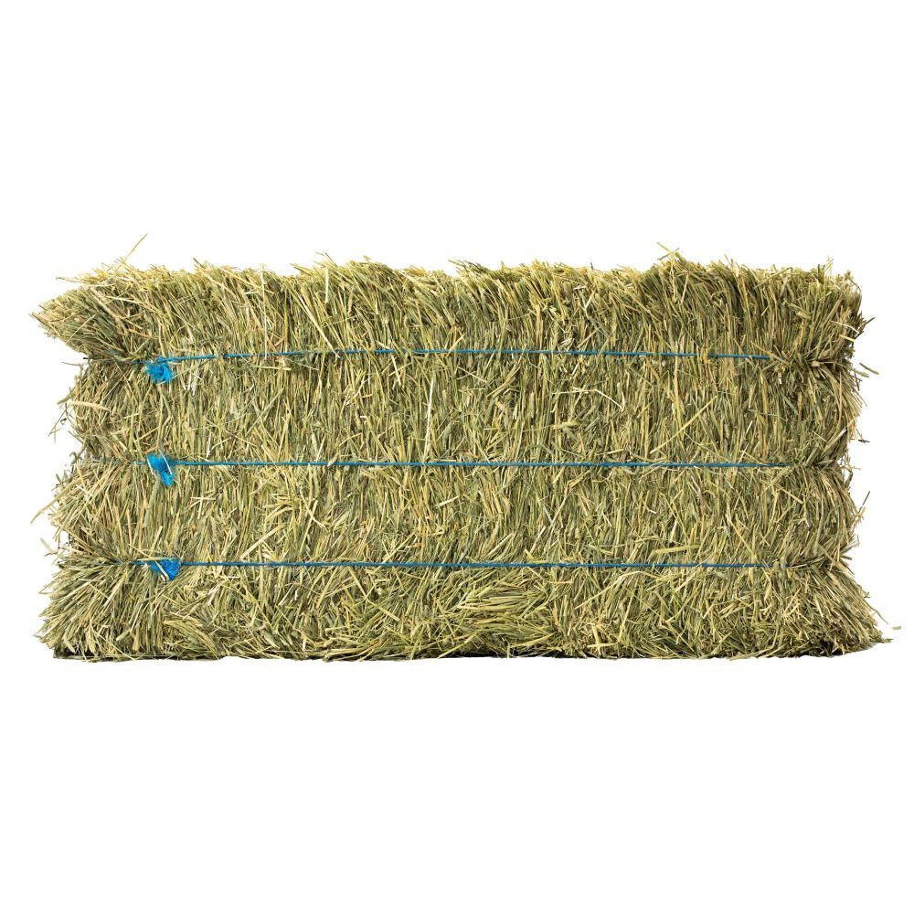 Anderson Hay 3-Tie Timothy Hay Bale, 90-Lb