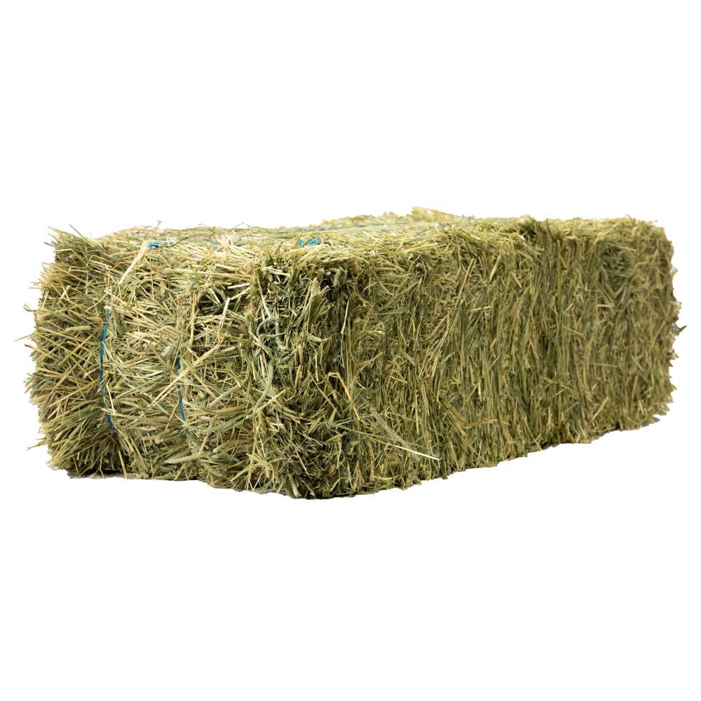Anderson Hay 3-Tie Timothy Hay Bale, 90-Lb