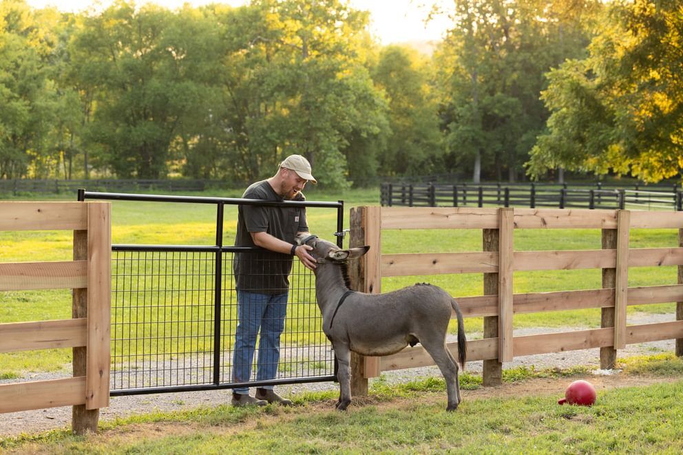 Behlen Country Gray Frontier Gate, 6-Ft x 50-In