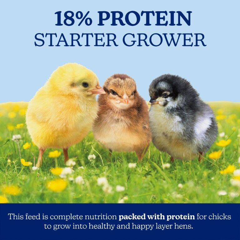 Nutrena NatureWise Chick Starter Grower 18% Crumble Non-Medicated, 40-Lb