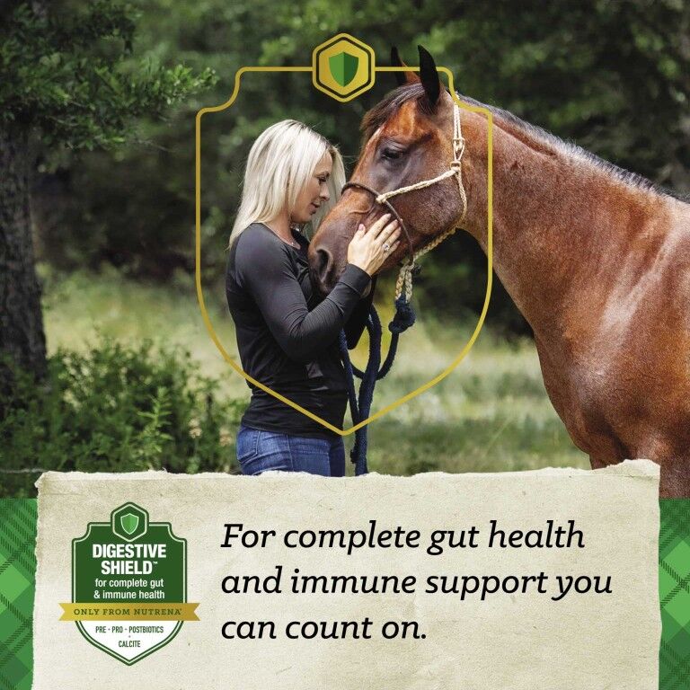 Nutrena SafeChoice Senior Molasses Free Multi-Form, 50-Lb