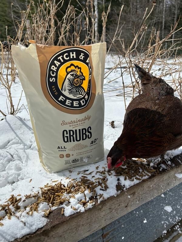 Scratch & Peck Feeds Cluckin' Good Grubs, 3.5-Lb