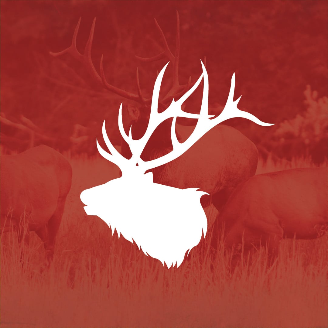 Fall Hunting Guide