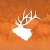 Fall Hunting Guide