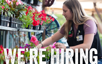We're Hiring