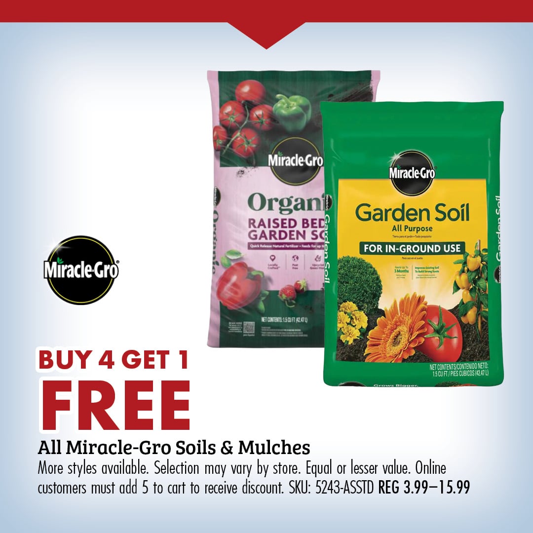MORE options 20% OFF regular price All BBQ Seasonings & Sauces More styles available. Selection may vary by store. SKU: ASSTD