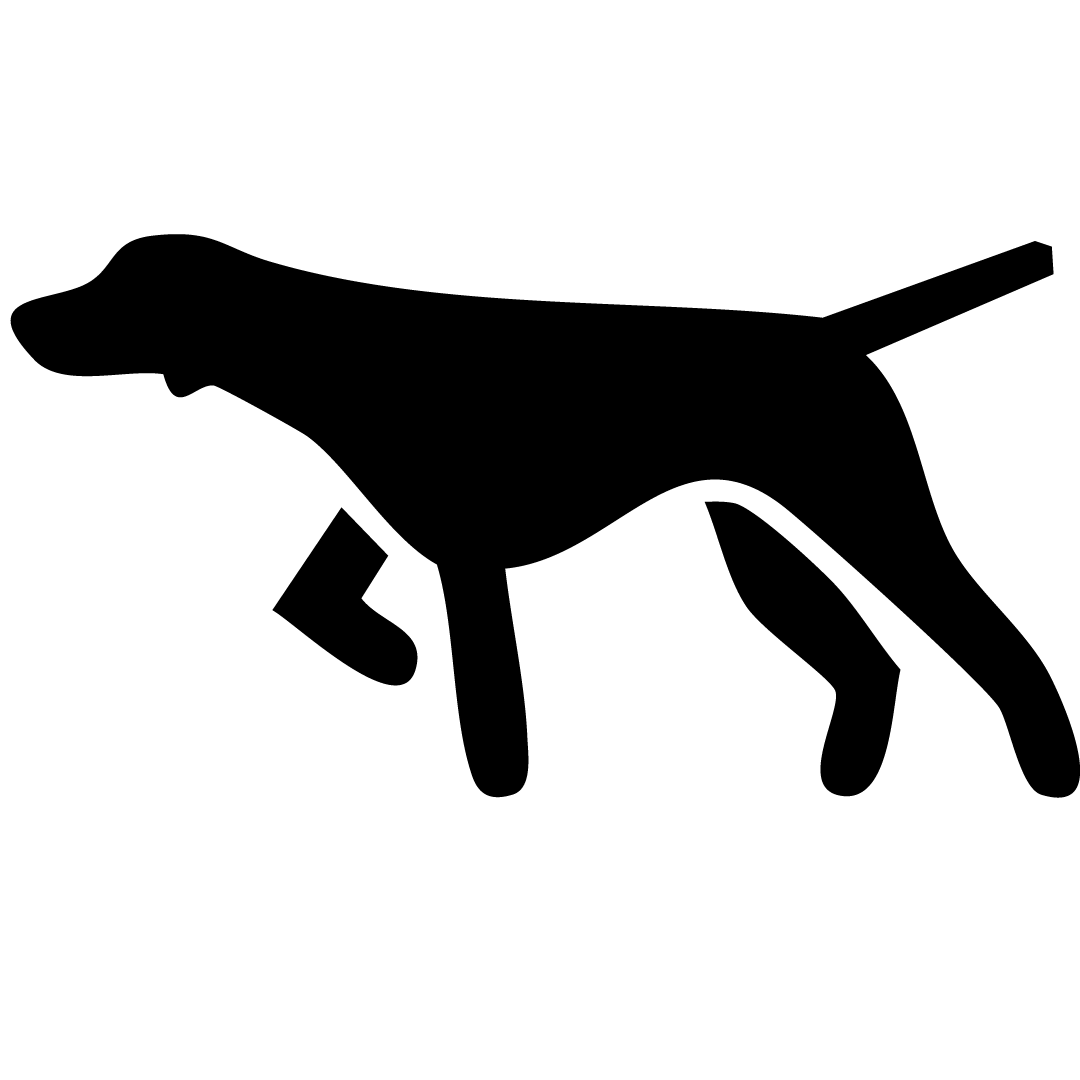 Friendly Leashed Pets