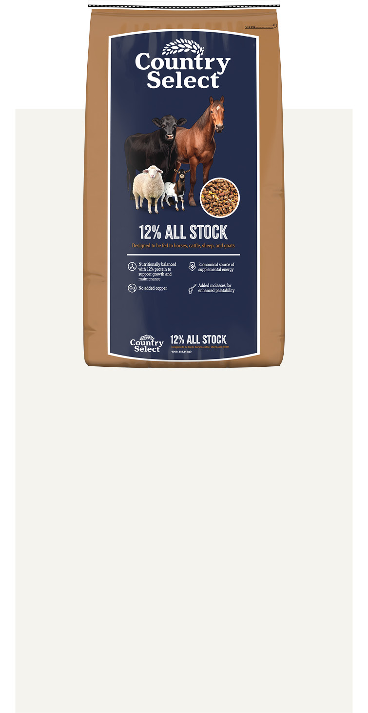 Product 4