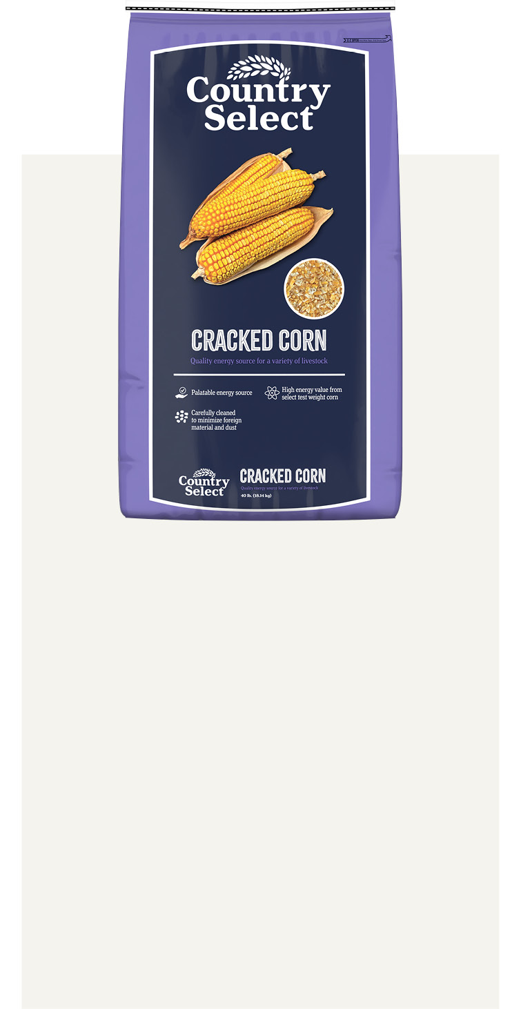 Product 8