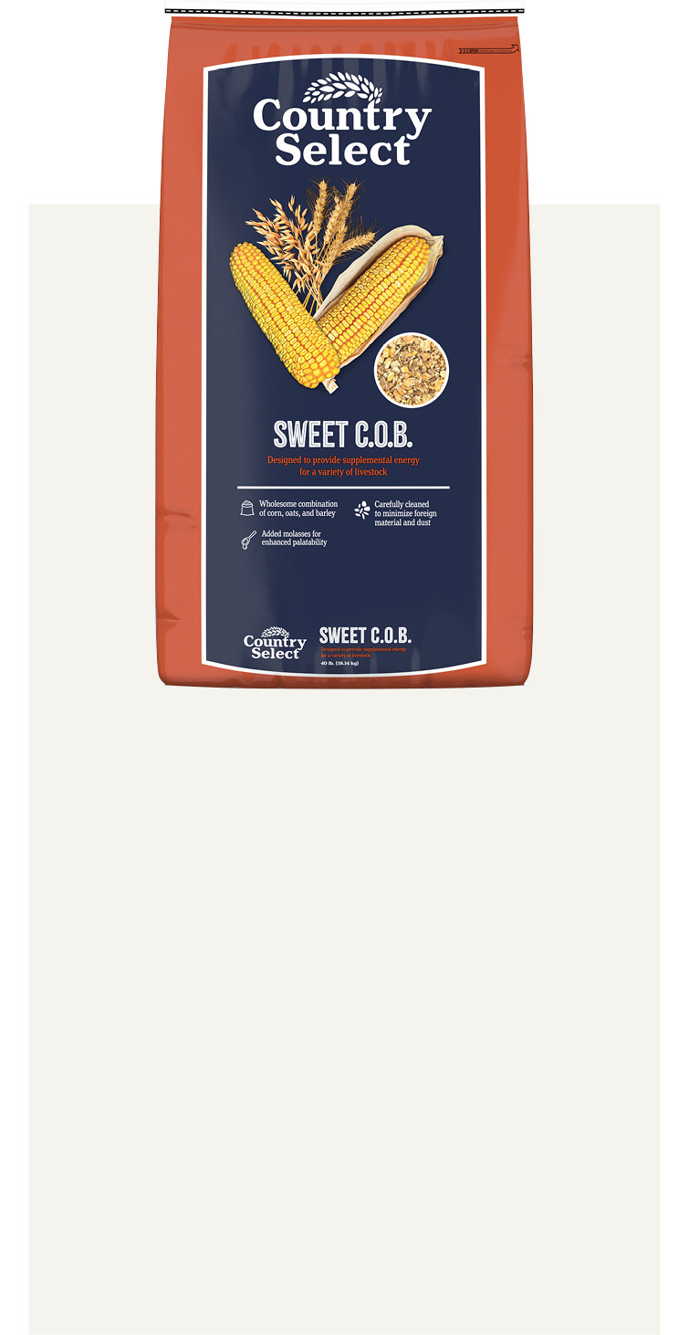 Product 6