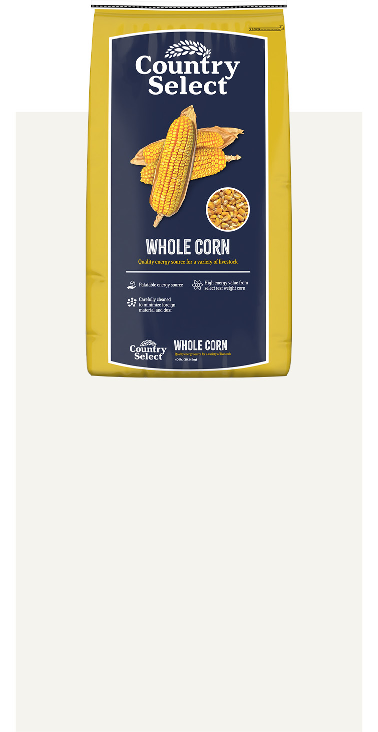 Product 7