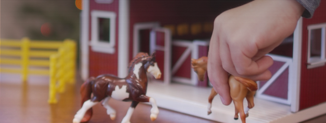 Toy Guide Western Toys for Kids